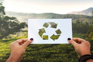 Reciclaje y medio ambiente