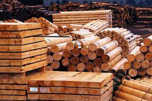 Productos forestales
