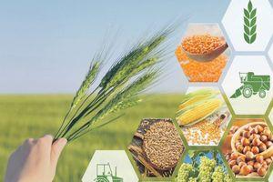 Alimentos, agricultura y ganado