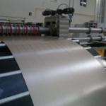 Lignes de selsification